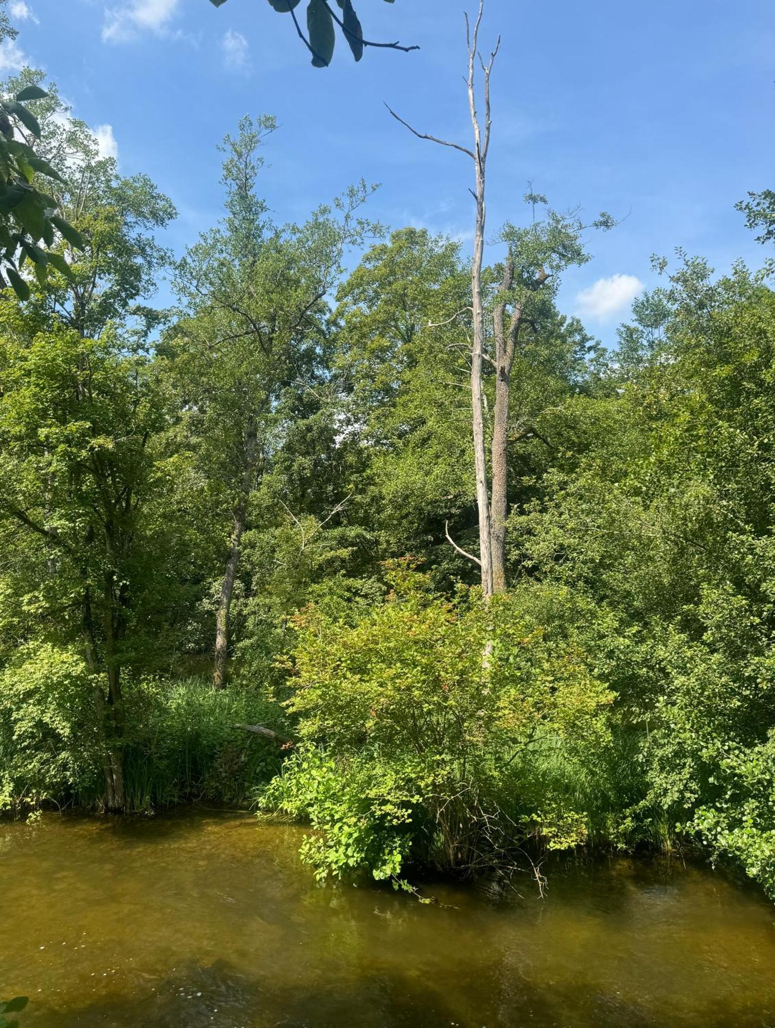 Unique Luxury Villa 22 Min To Munich 290M2 Pool Sauna Gauting Eksteriør billede